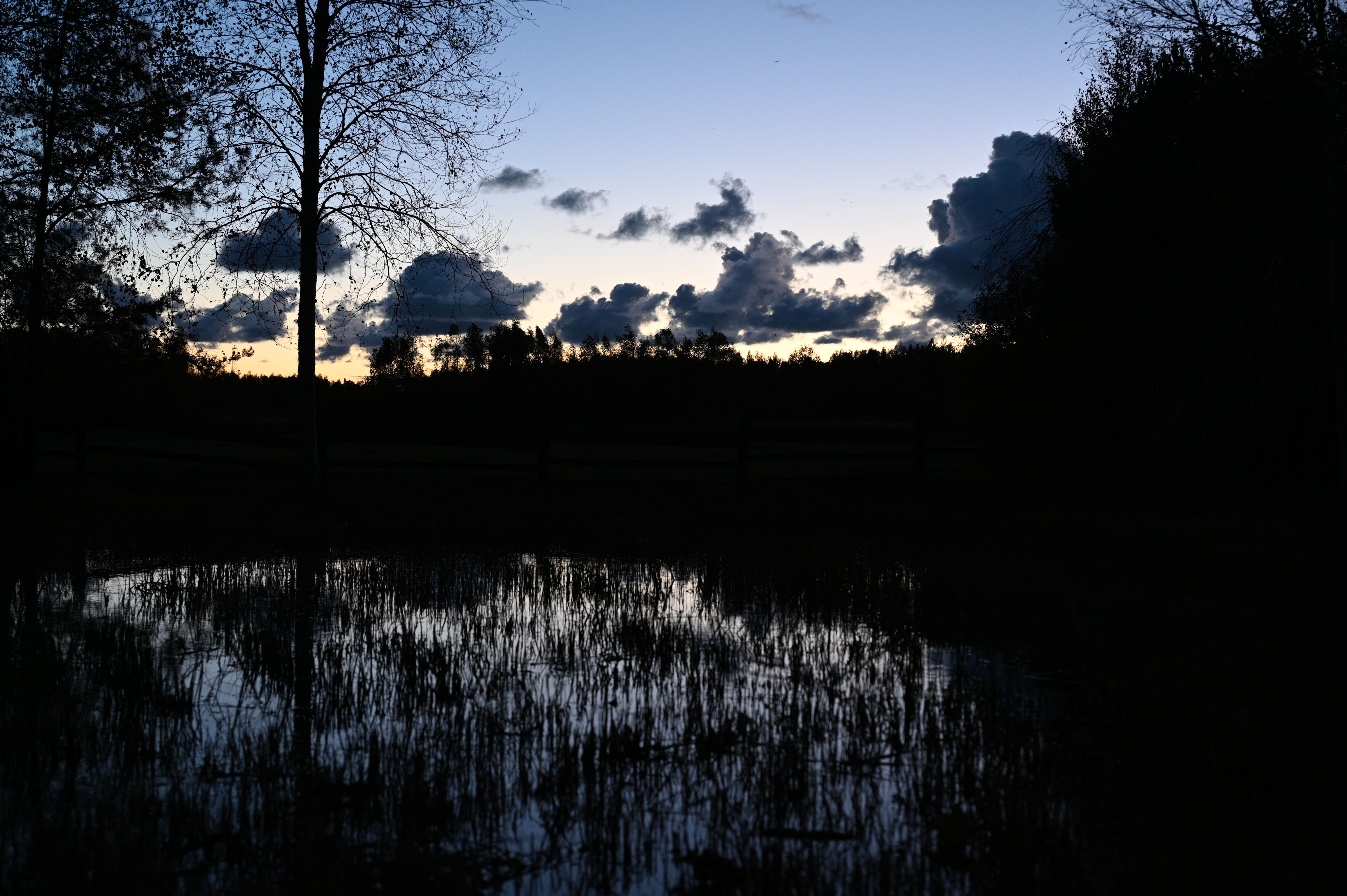 2025/10/18 - walk/DSC_0657.JPG